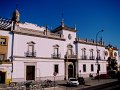 DSC08501 - Copy